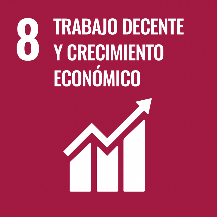 SDG 8 - TRABAJO DECENTE Y CRECIMIENTO ECONÓMICO